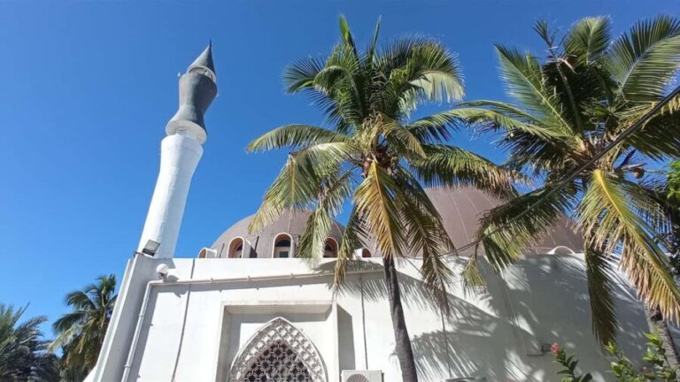 Réunion Island: Temples and religions Half-day tour - Why This Tour Offers Good Value