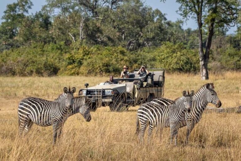 Rhino Game Drive - Is It Worth The Price?