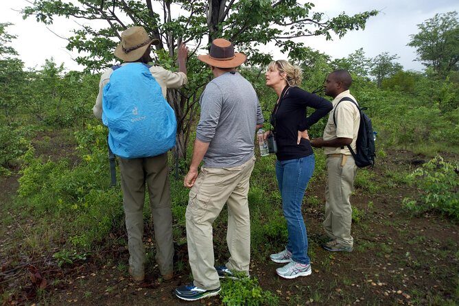 Rhino & Nature walk in the Musiotunya National Park - Exploring Mosi-oa-Tunya National Park on Foot