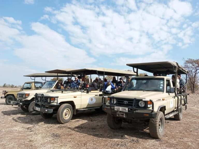 Rhino Safari game drive - What to Expect During Your Safari