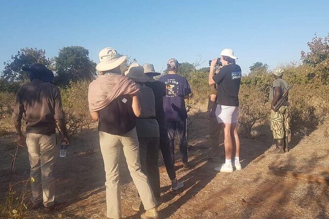 Rhino Walking Safari - Authentic Moments from Traveler Reviews