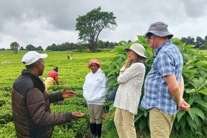 Riara tea farm tour with lunch and tea tasting from Nairobi - What Makes This Tour Stand Out?