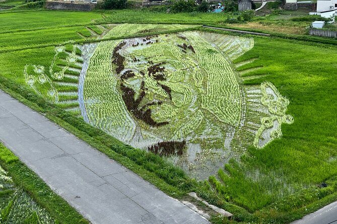 Rice Paddy Art Half day tour in Aomori - Final Thoughts: The Value and Charm of Rice Paddy Art in Aomori