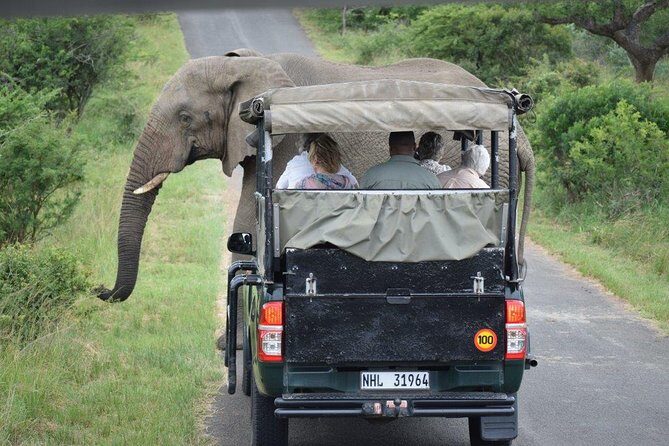 Richards Bay Shore Excursion: Small Group Hluhluwe & St Lucia - Transportation and Group Size