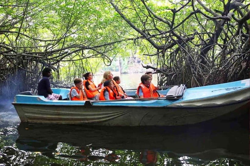"Ride Through Paradise: Aluthgama & Bentota Tuk Tuk Tour" - Who Should Take This Tour?