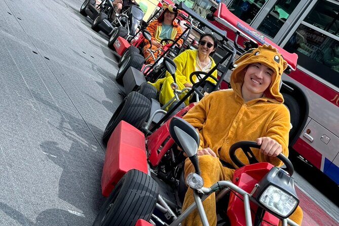 Ride Through The Streets Of Shibuya and Sinjuku By Go Kart - The Sum Up