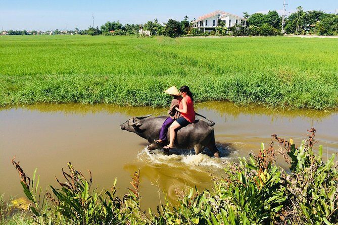 Riding Water Buffalo Hoi An Private Bike Tour - A Detailed Breakdown of the Itinerary
