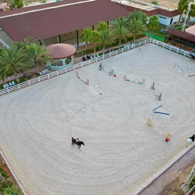 Riyadh: Arabian Horse Riding Experience - Who Should Consider This Tour?
