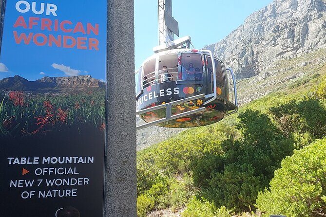 Robben Island and Table Mountain Guided tour - Who This Tour Is Best For