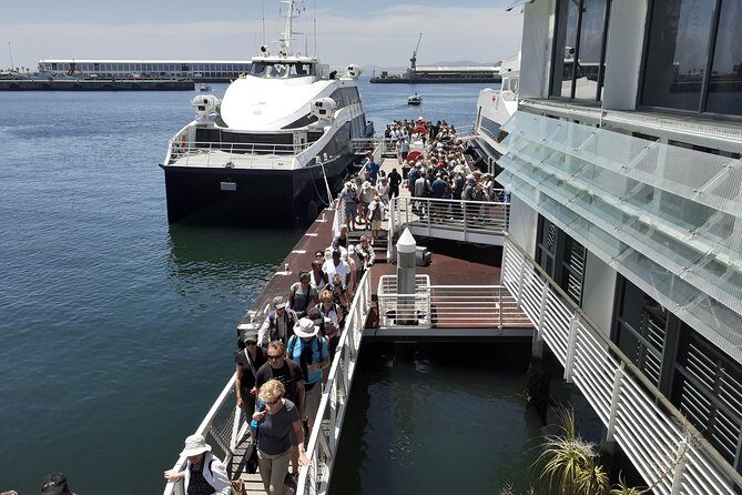 Robben Island and Table Mountain Tour - Robben Island: More Than Just a Ferry Ride