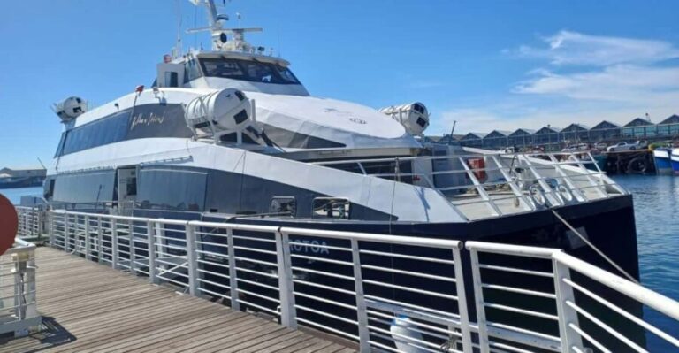 Robben island,Cape of good hope ,Penguin, Muizenberg,Bokaap - Who Will Love This Tour?