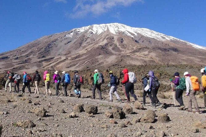 Rongai Route 6 Days 5 Nights/Kilimanjaro climb - The Itinerary in Detail