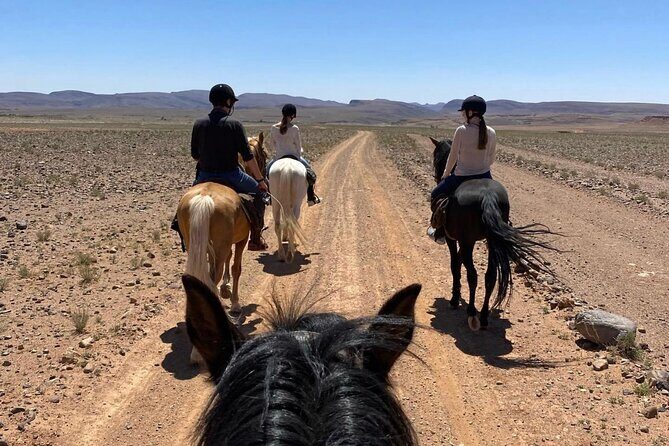 Royal Private Tour of Ksar Ait Ben Haddou - Practical Details and Value