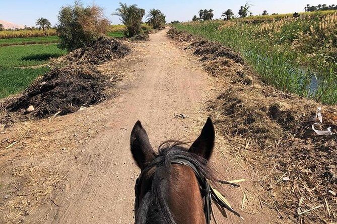 Rural Horse Riding Adventure - Transportation and Duration: Why They Matter