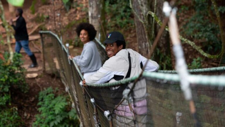 Rwanda: 3-Day Nyungwe Canopy way walk and Lake Kivu Tour. - Final Thoughts: Is This Tour Right for You?