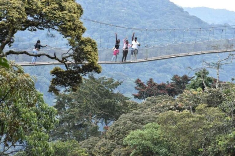 Rwanda 5-Day Safari to Nyungwe National Park and Lake Kivu - In-Depth Look at the Itinerary