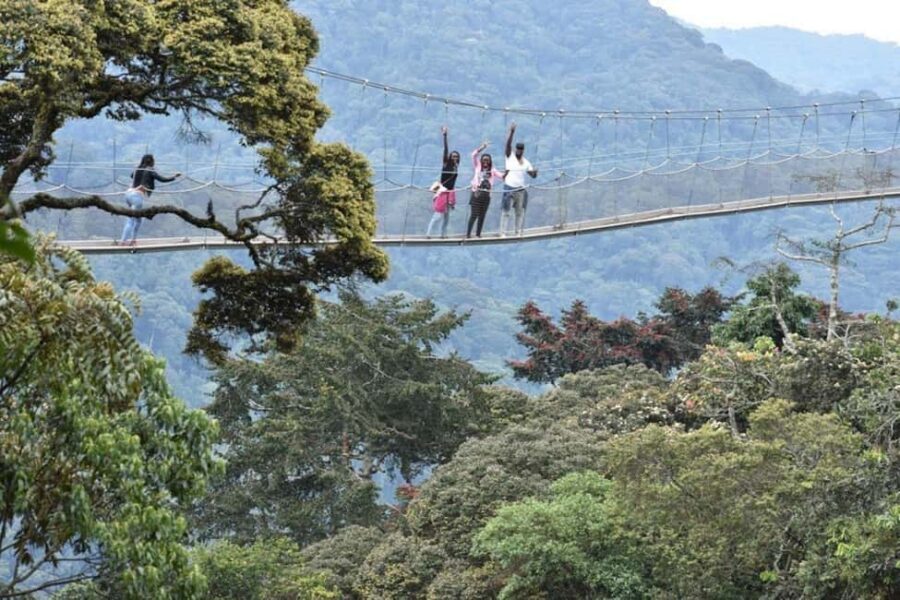 Rwanda 5-Day Safari to Nyungwe National Park and Lake Kivu