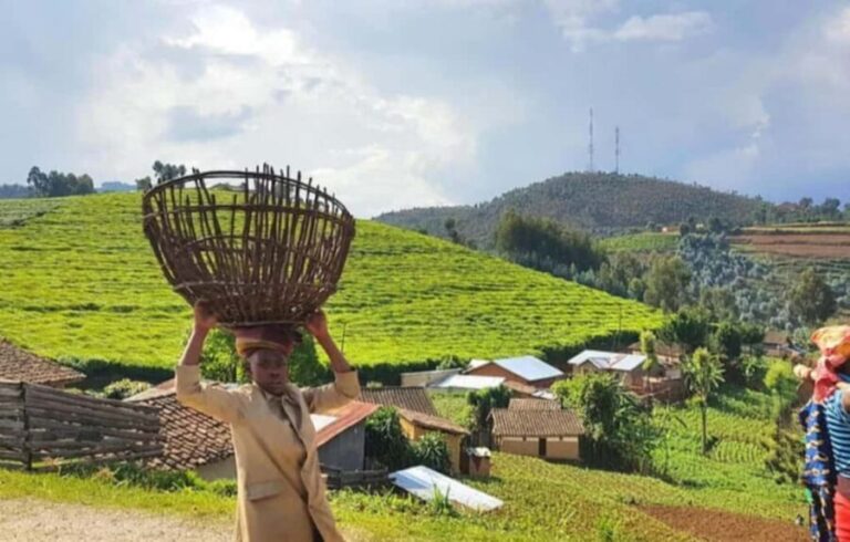 Rwanda: 5-Day Safari with Gorilla and Golden Monkey Trekking - What to Expect and Practical Tips