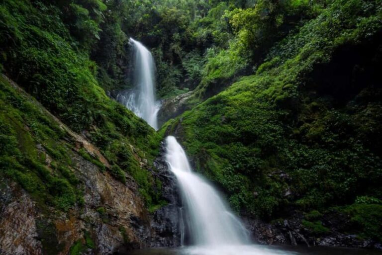 Rwanda: 8-Day Adventure and Primates Tour with Luxury Stay - The Value of this Tour