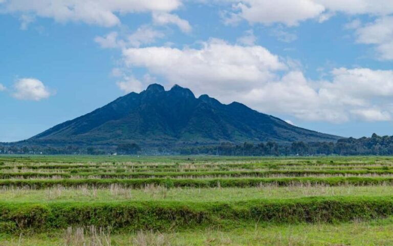 Rwanda Gorilla Trekking SAfaris - FAQ