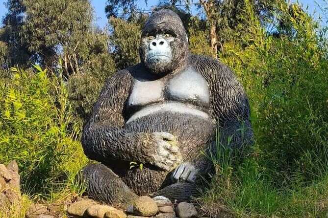 Rwanda One Day Gorilla Trekking with Ibyiwacu Culture Visit - Who Should Consider This Tour?