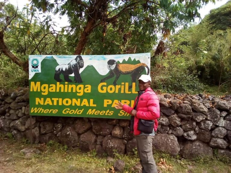 Rwenzori Mt.hike, Chimps trekking & game drive gorrilla - An In-Depth Look at the 13-Day Uganda Safari