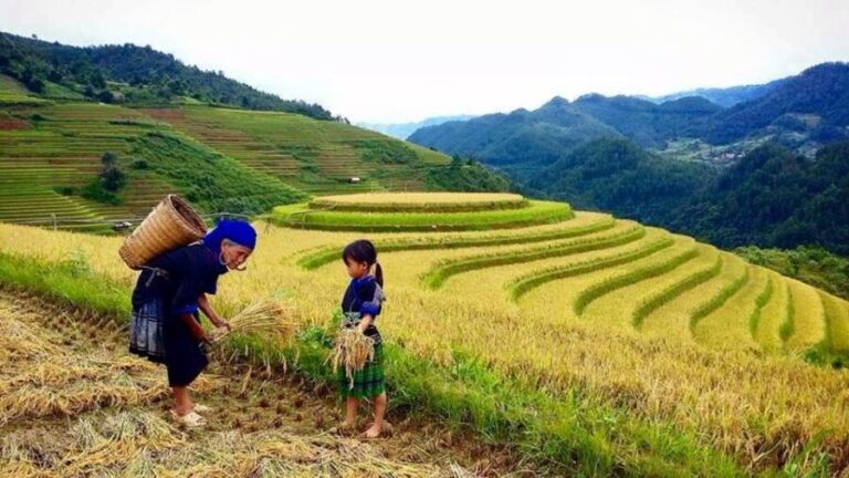 Sa Pa: 6-Hours Muong Hoa Valley Trek with Local Ethnic guide - Final Thoughts: Is This Tour for You?