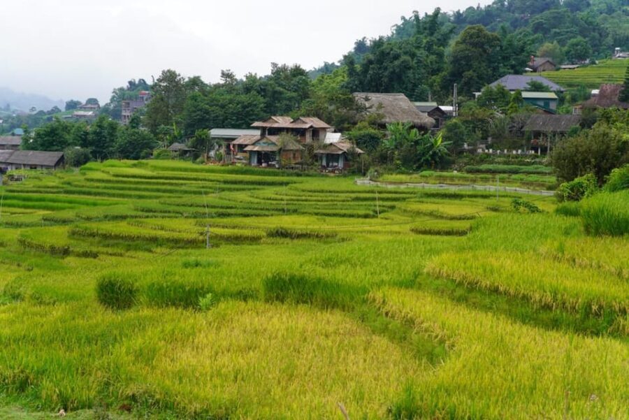 Sa Pa: Half-Day Cat Cat Village Hike to Meet H'mong People - An In-Depth Look at the Experience