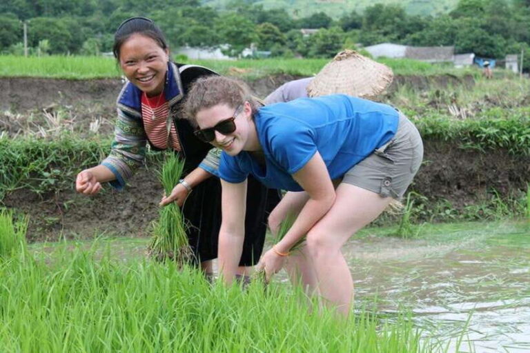 Sa Pa: Muong Hoa Valley Trek and Local Ethnic Villages - Final Thoughts: Who Will Love This Tour?