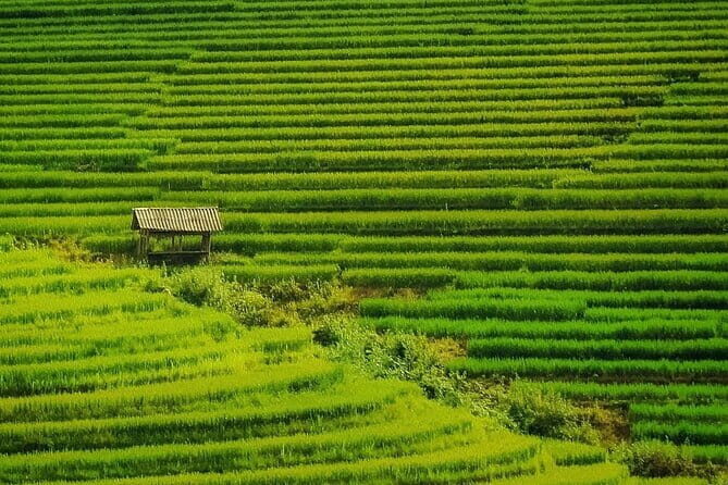 Sa Pa Trekking 2 Days 3 Nights Homestay by Night Train - Analyzing the Value