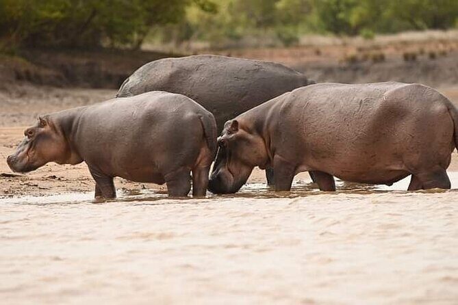 Saadani National Park Day Tour - FAQs