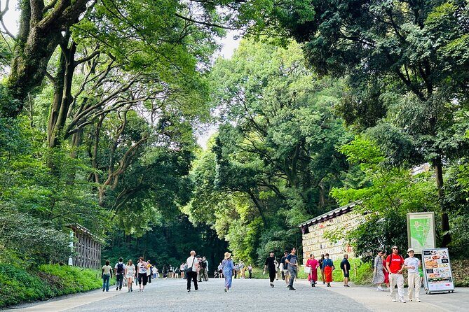 Sacred Morning Walk and Brunch Meiji Shrine - What to Expect During the Walk