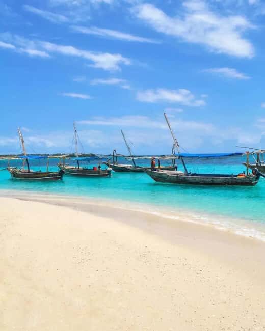 Safari blue Zanzibar by sailing dhow trip - What to Expect from the Safari Blue Trip