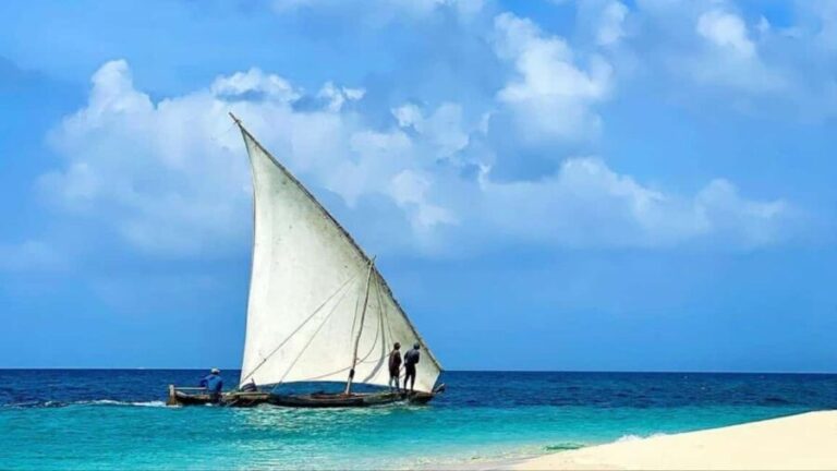 Safari Blue Zanzibar: Snorkeling Adventure with Lunch - The Itinerary: What to Expect from Dawn to Dusk