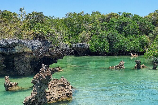 Safari Blue Zanzibar - The Itinerary Explored: What to Expect