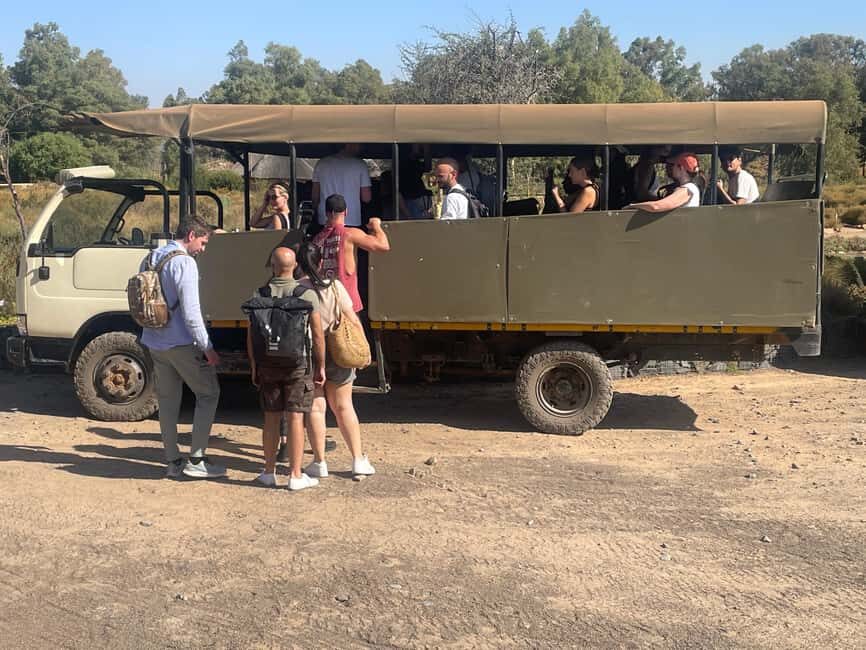 SAFARI- Cape Town Aquila Big 5 & Lunch (Hotel Pickup incl.) - The Value of Guided Wildlife Encounters