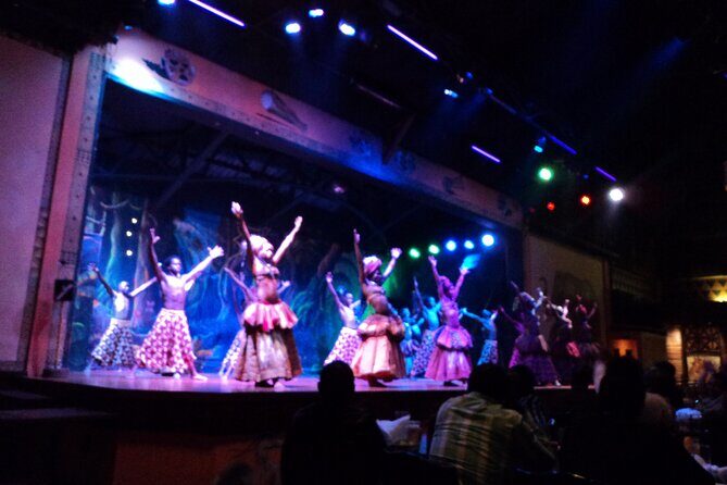 Safari Cat Dancers Show And Dinner - Dining and Show Atmosphere