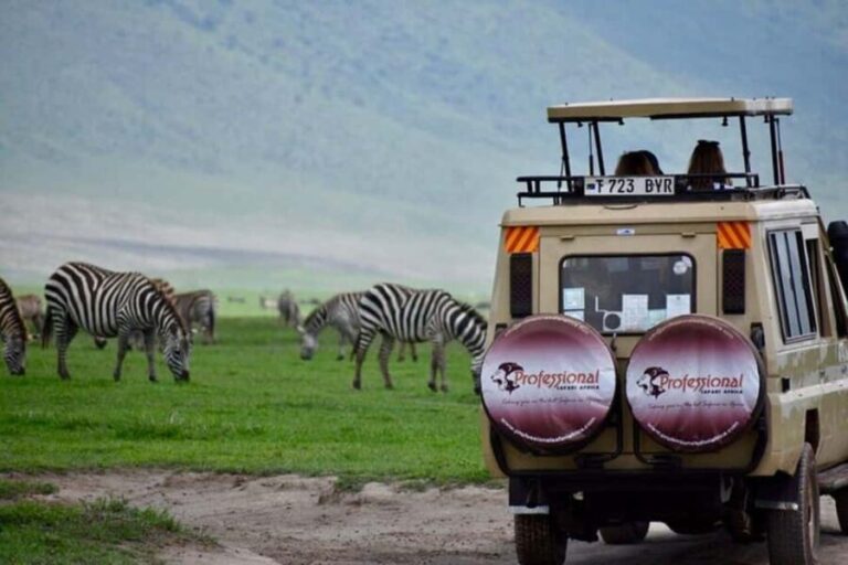Safari combination with Zanzibar beach holiday - Overview of the Tour