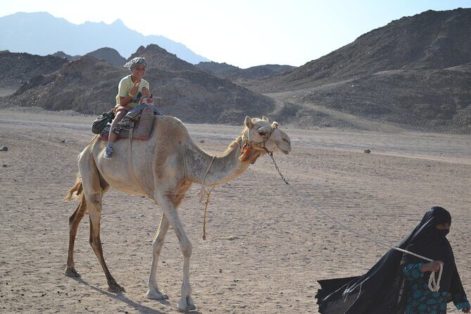 Safari Day By Jeep Amazing Sunset, Dinner, Camel Ride and Show - Marsa Alam - What Makes This Tour Stand Out?