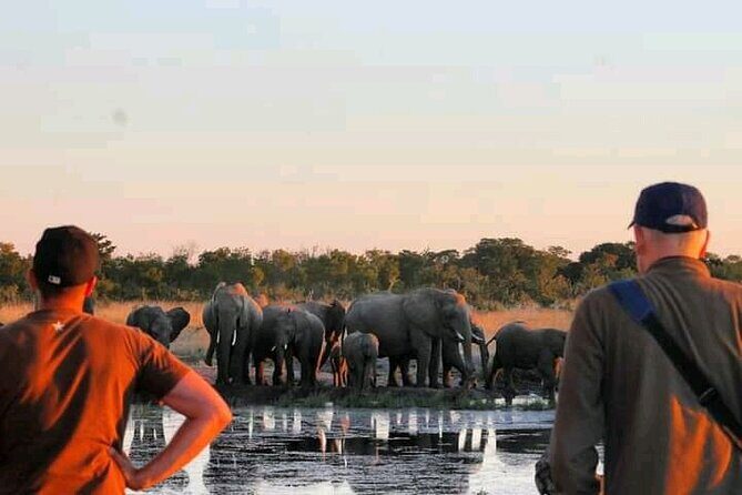 Safari Game Drive in Zambezi National Park - The Value of This Safari