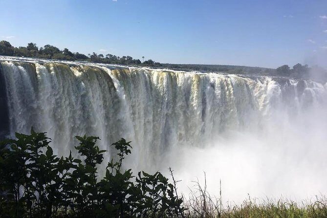Safari Game Drive in Zambezi National Park - Why Choose This Safari?