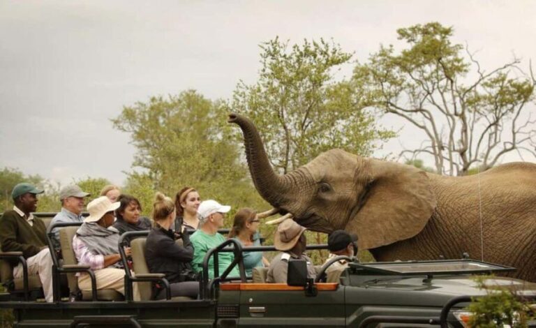Safari Game Drive in Zambezi national park - What’s Included and Practical Tips