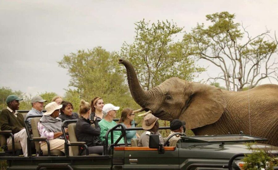Safari Game Drive in Zambezi national park - What’s Included and Practical Tips