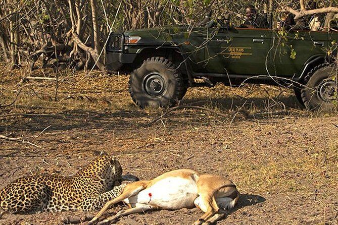 Safari In Jhalana Leopard Conservation Reserve, Jaipur - Final Thoughts