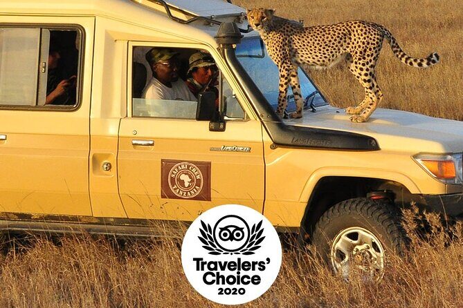 Safari in Tanzania 5 days: Manyara, Ngorongoro, Serengeti - The Sum Up