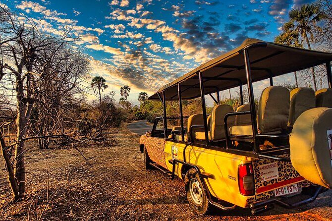 Safari in Victoria Falls and Zambezi National Park - Overview of the Safari Experience