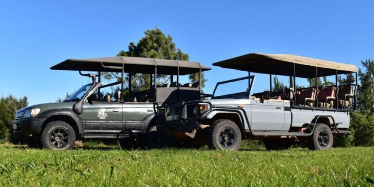 Safari into Schotia Half Day Tour - Authentic Experiences and What You’ll Gain