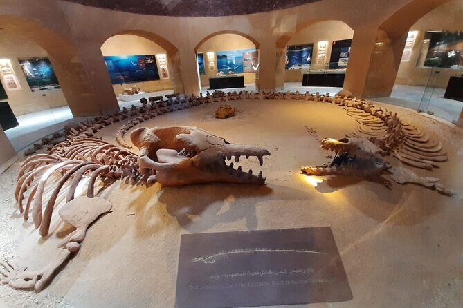 Safari pravite Day Tour to El Fayoum Oasis includes Whales Valley by 4X4 Car - Authentic Experiences and Highlights