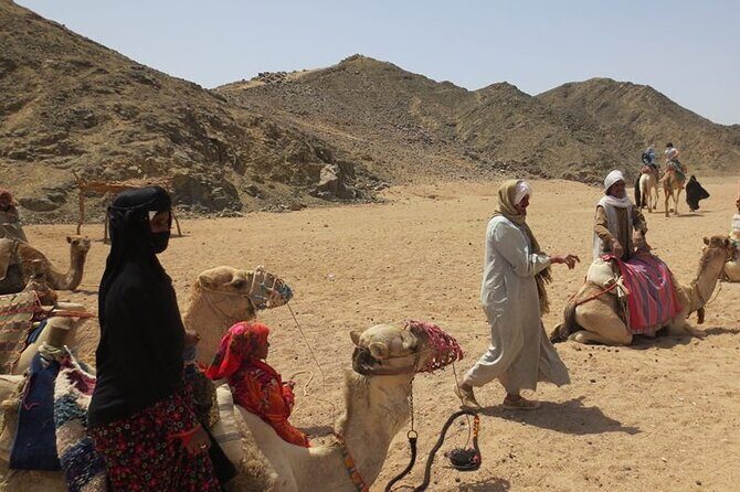 Safari quad, jeep, camel ride, show and dinner Hurghada - Transportation, Group Size, and Booking