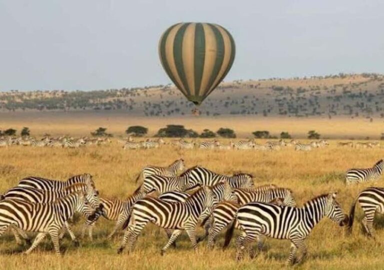 Safari Serenity:Exploring Tarangire National Park in Day - What’s Included and What to Keep in Mind